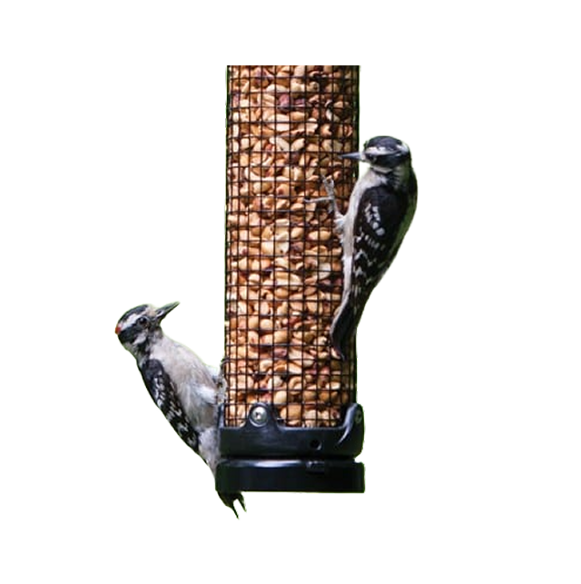 Feeders