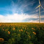Commitment to Sustainability
